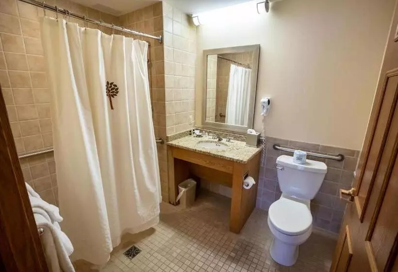 デラックスルーム, Oglebay Resort