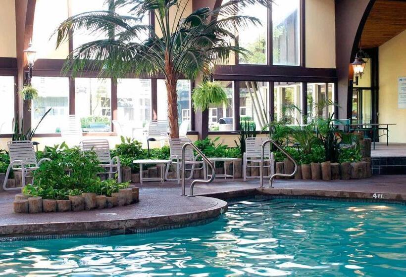 Номер Стандартный Кровать Куин, Oglebay Resort