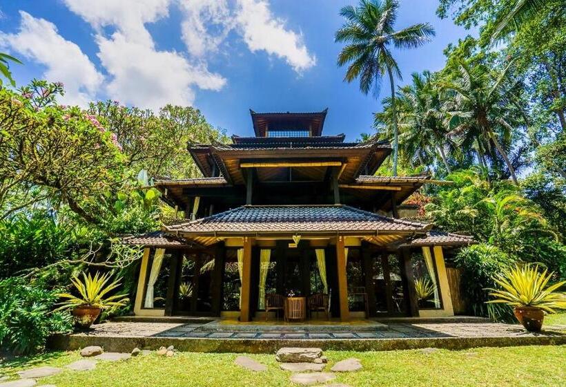 빌라 1 베드룸 - 수영장, Villa Beji Indah