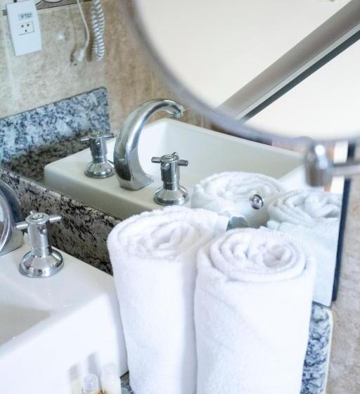 标准单人间, Atrium Confort Hotels