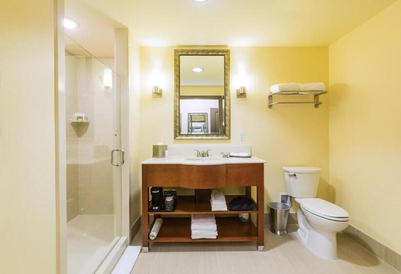 חדר דחוקס עם מיטת קינג, Boomtown Casino And Hotel New Orleans