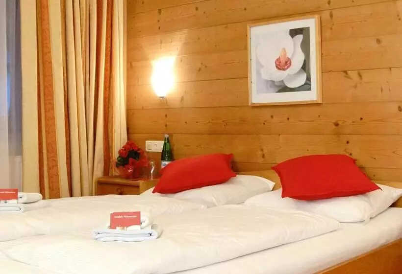 バス共有のスタンダードルーム, First Mountain Hotel Zillertal