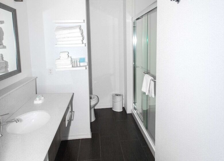 스탠다드 룸 킹사이즈 침대, Hampton Inn Broussardlafayette Area