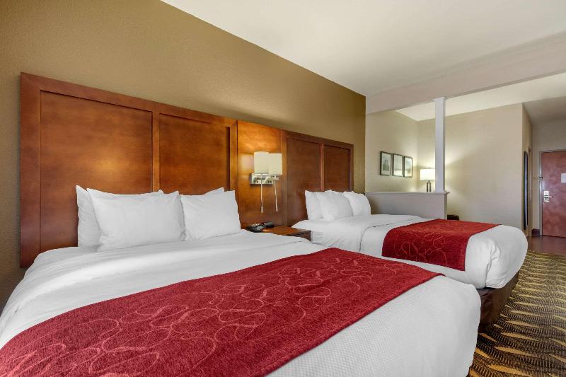 스탠다드 룸 킹사이즈 침대, Hampton Inn Broussardlafayette Area