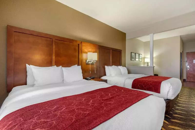 キングサイズベッドのスタンダードルーム, Hampton Inn Broussardlafayette Area