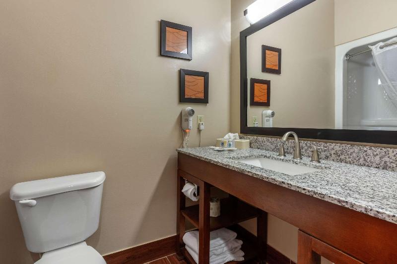 스탠다드 룸 킹사이즈 침대, Hampton Inn Broussardlafayette Area