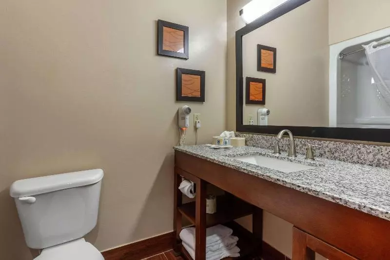 キングサイズベッドのスタンダードルーム, Hampton Inn Broussardlafayette Area