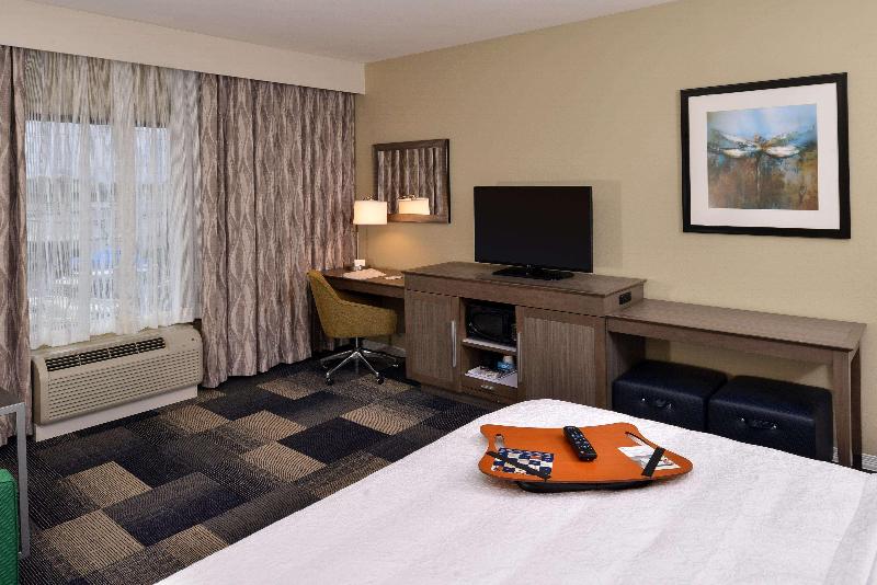 غرفة قياسية سرير كينج, Hampton Inn Broussardlafayette Area