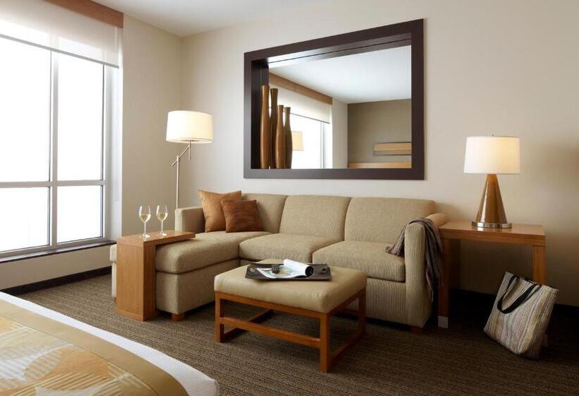 带大床的标准间, Hyatt Place Pune Hinjawadi