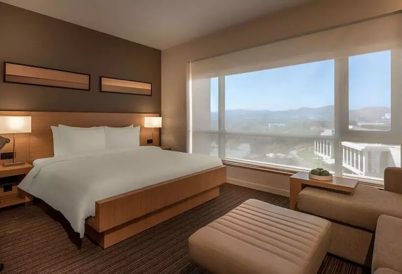 スタンダードルーム, Hyatt Place Pune Hinjawadi