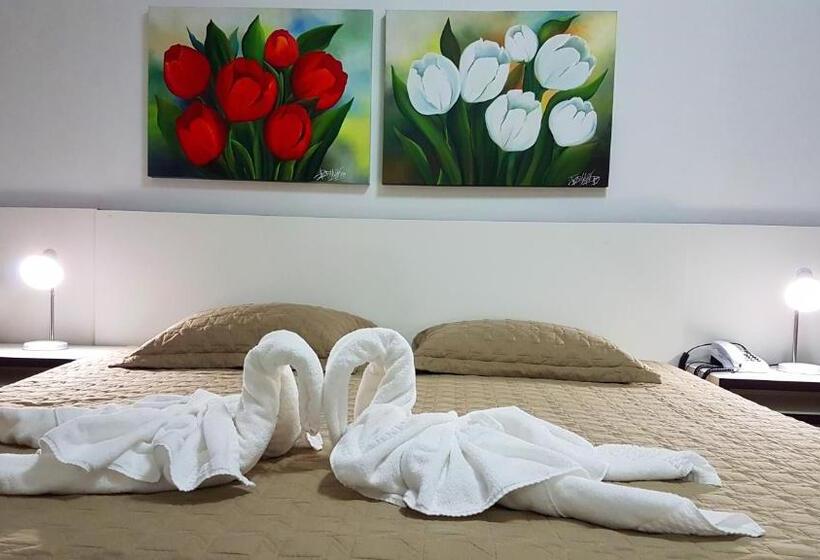 غرفة ديلوكس, Internacional Gravatal