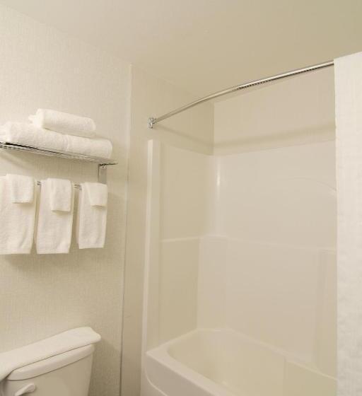 סוויטה עם מיטת קווין, Paradise Inn And Suites Redwater