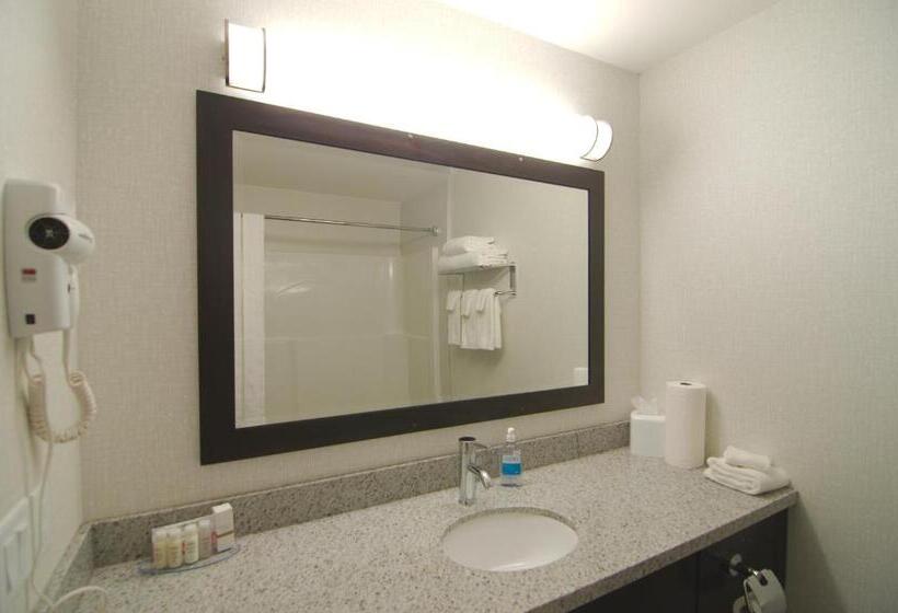 带皇后床的套间, Paradise Inn And Suites Redwater