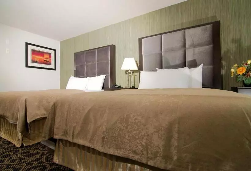 クイーンサイズベッドのスイートルーム, Paradise Inn And Suites Redwater