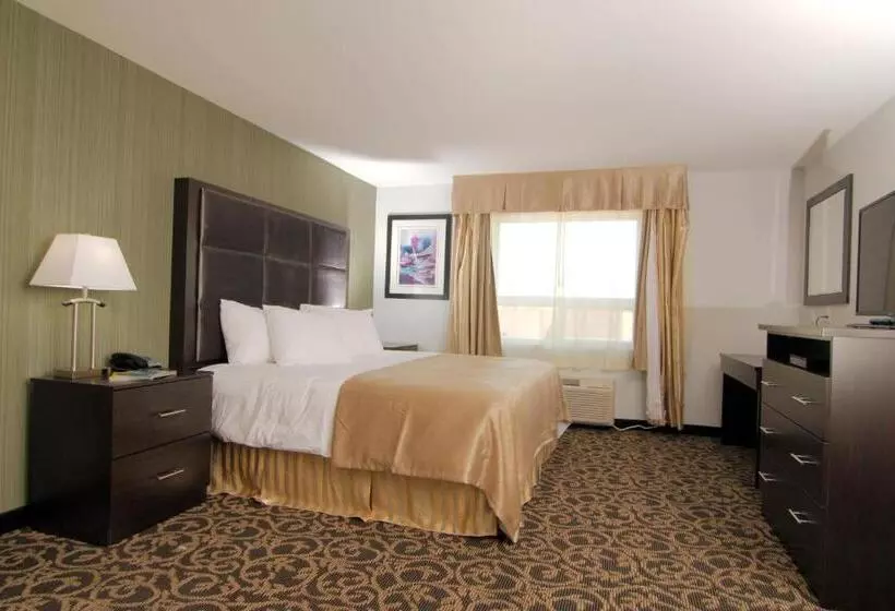 キングサイズベッドのスイートルーム, Paradise Inn And Suites Redwater