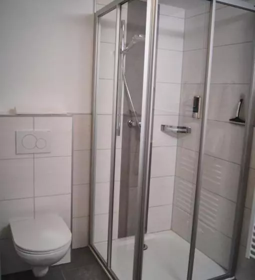 Standard Single Room, Restaurant Schwaiger