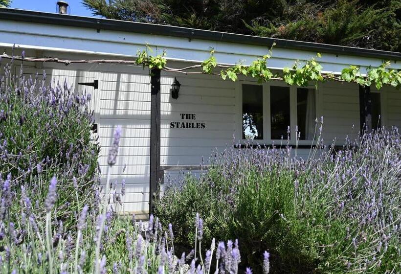 غرفة ديلوكس, St Leonards Vineyard Cottages