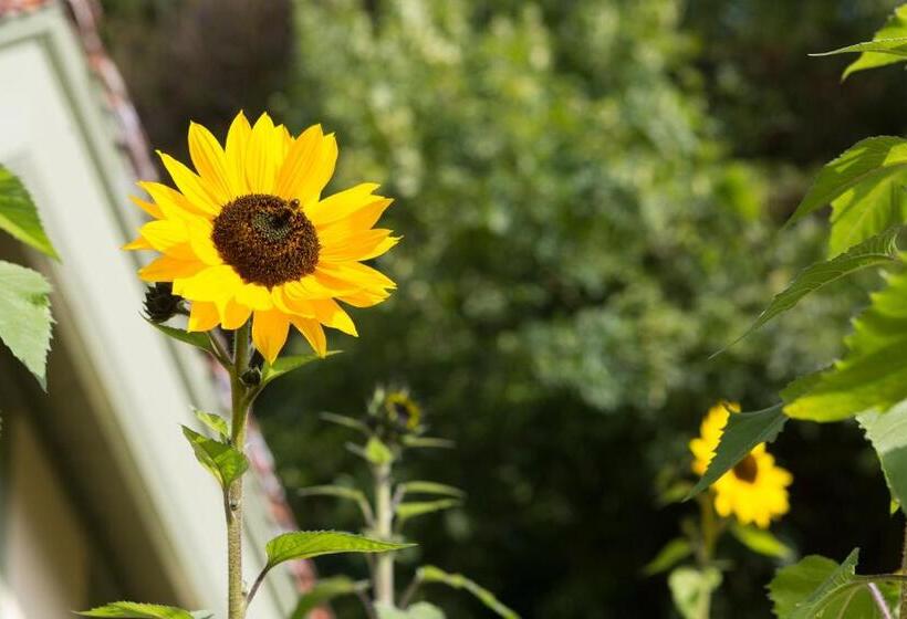 شقة سوبيريور غرفتين, The Hunters Inn