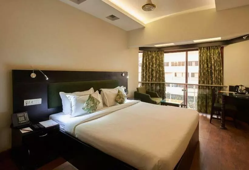 اتاق اجرایی, The Oasis  Vadodara
