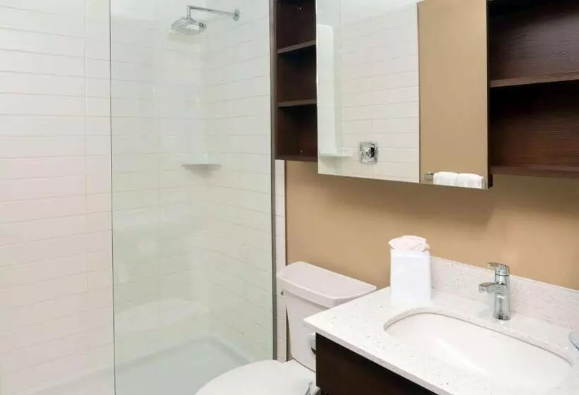 スーペリアールーム, Microtel Inn & Suites By Wyndham Red Deer