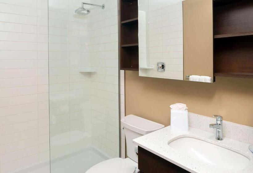 Номер бизнес-класса, Microtel Inn & Suites By Wyndham Red Deer