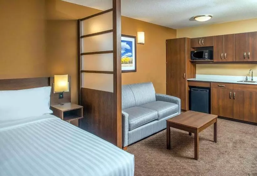 スタンダードスタジオ, Microtel Inn & Suites By Wyndham Red Deer