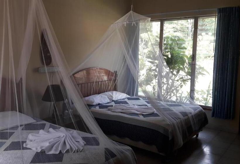 اتاق استاندارد, Tikal Inn