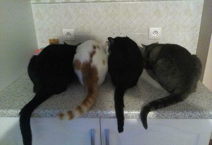 バスルーム共有のトリプルスタンダード, Douce Vallee