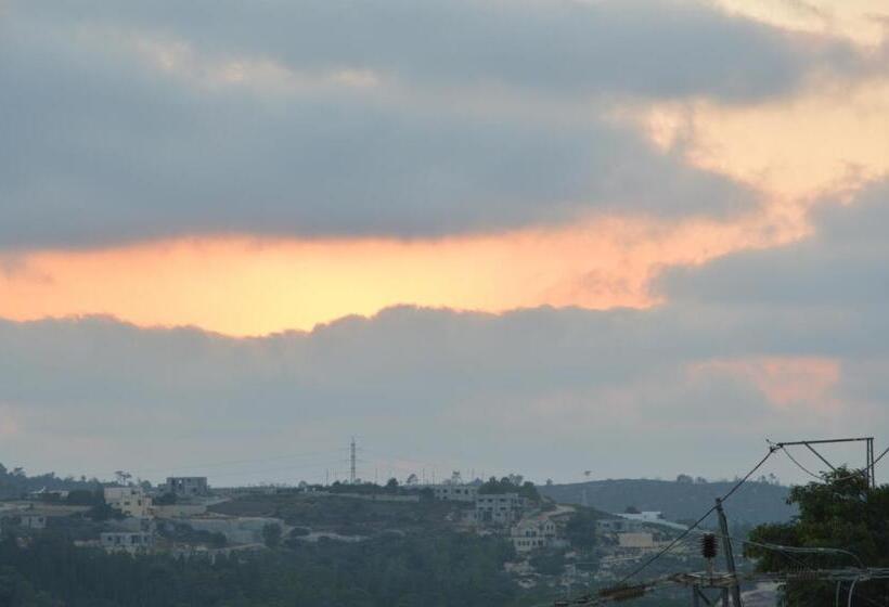 Люкс с Террасой, Zimmer Monte