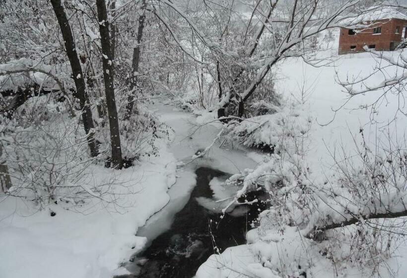 اتاق لوکس, Stara Planina Vila Vesela Kuca