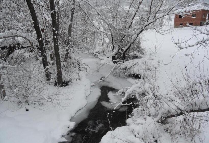 Economy Quadruple Room, Stara Planina Vila Vesela Kuca