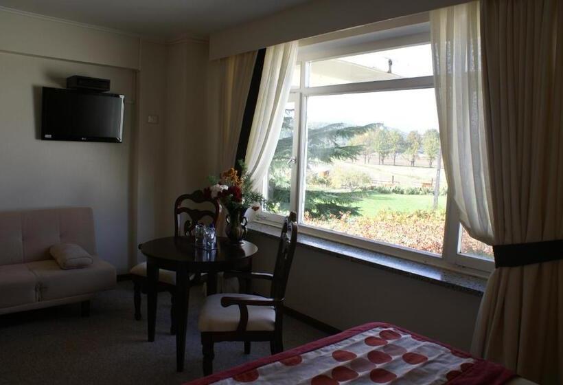 חדר סופריור, Villa Baviera, Hotel Baviera Chile