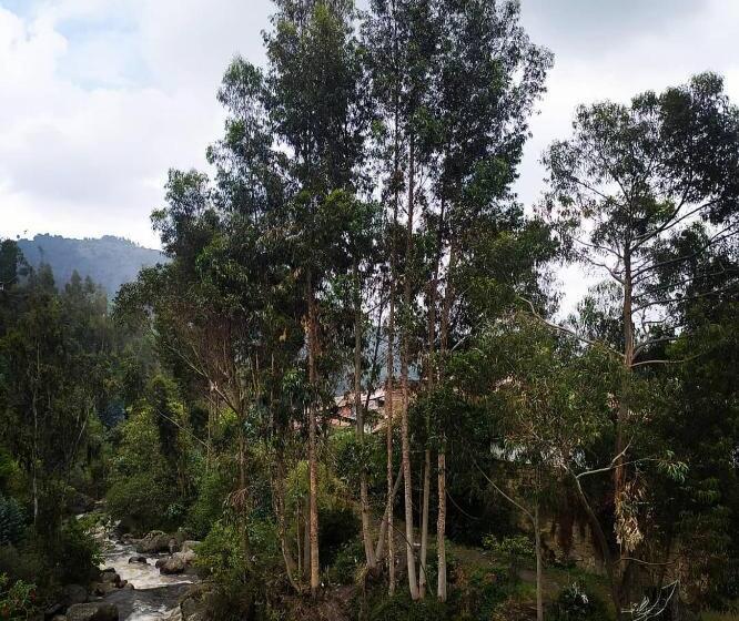 バルコニー付きデラックスルーム, Calicanto Real Cafe Museo