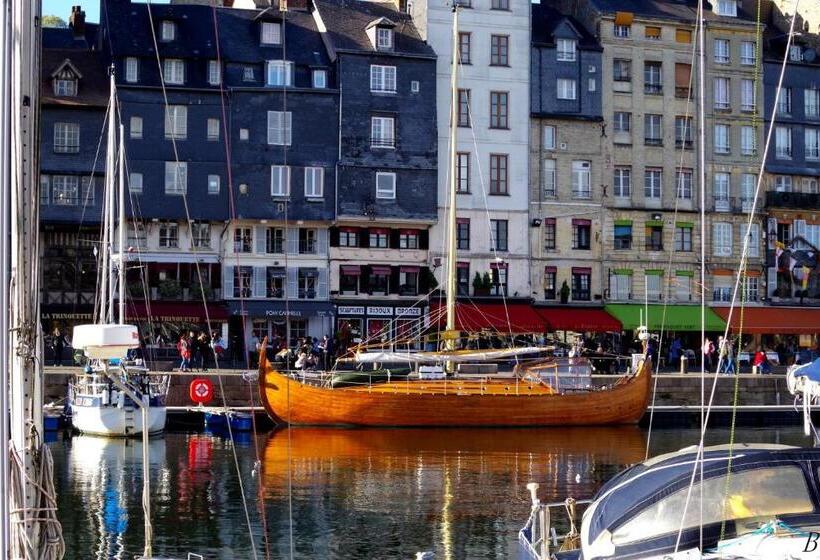 اتاق استاندارد, Chambre Des Plages Normandes