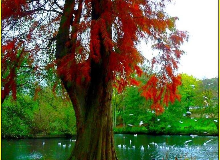 اتاق استاندارد, Chambre Des Plages Normandes