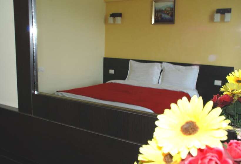 اتاق کلاس بیزنس, Ancor