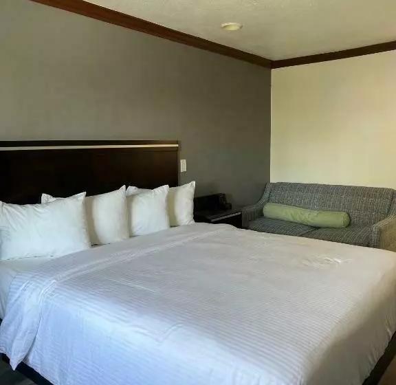 キングサイズベッドのスタンダードルーム, Starlight Inn Huntington Beach