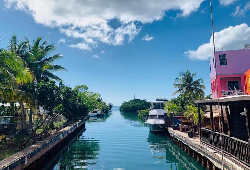 اتاق استاندارد با 2 تخت دوبل, Posada La Hamaca