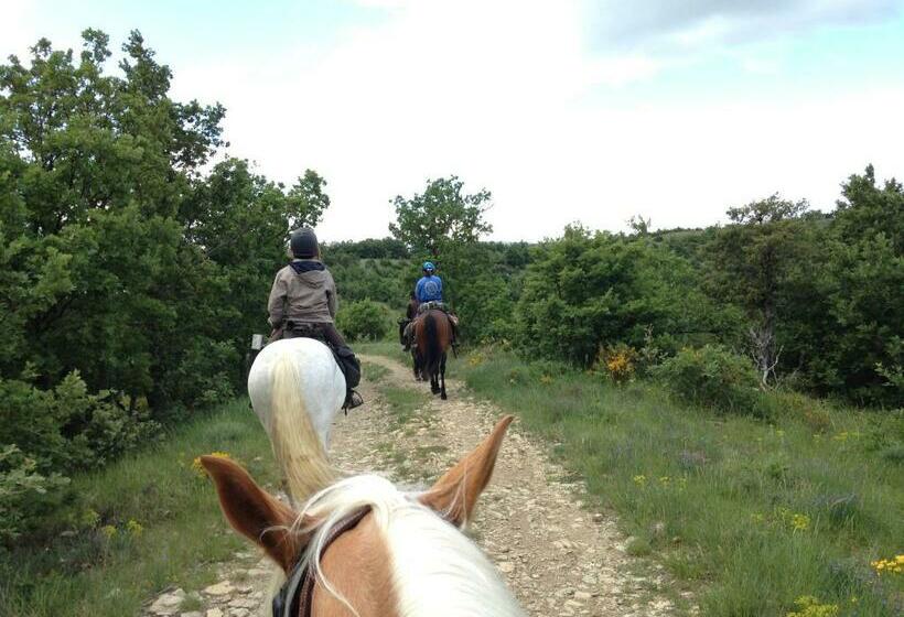 带观景的标准间, Le Relais De Vazeille