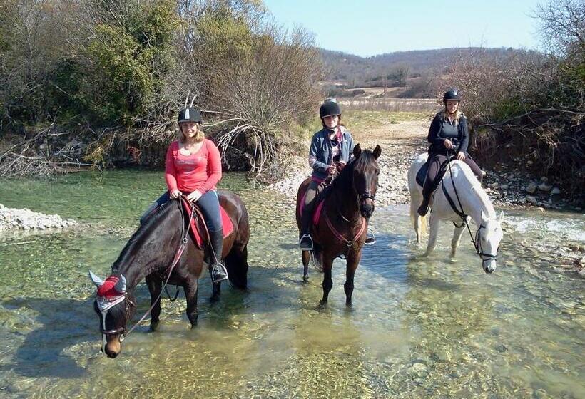 可看到停车场的标准间, Le Relais De Vazeille