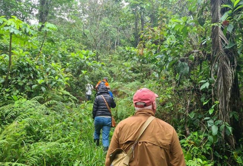 غرفة قياسية, Rain Forest Lodge Playa Jaguar Panama