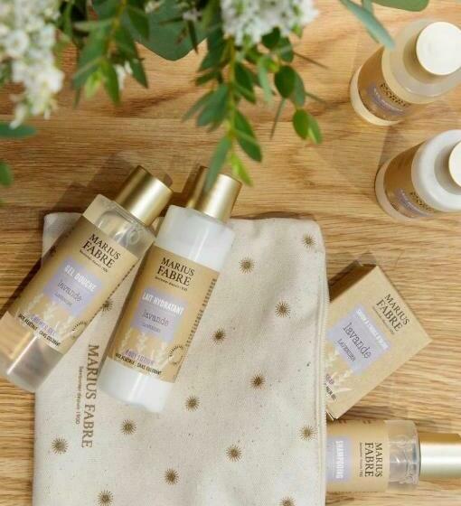 标准房带园景, La Plonploniere