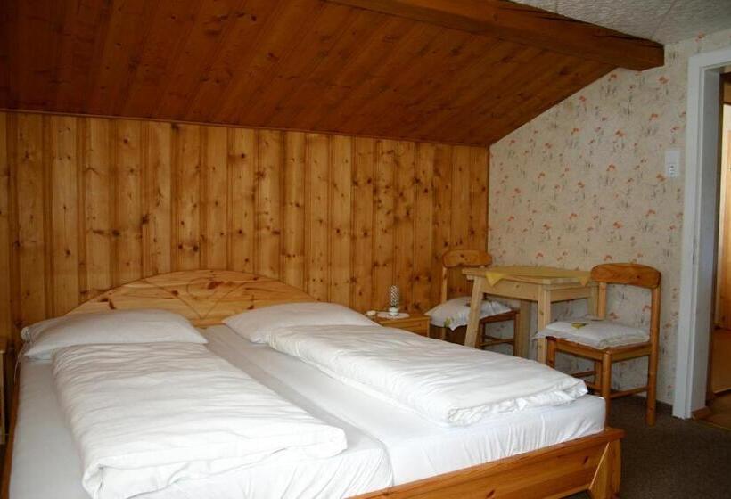 غرفة قياسية, Austrian Alps Haus Kienreich