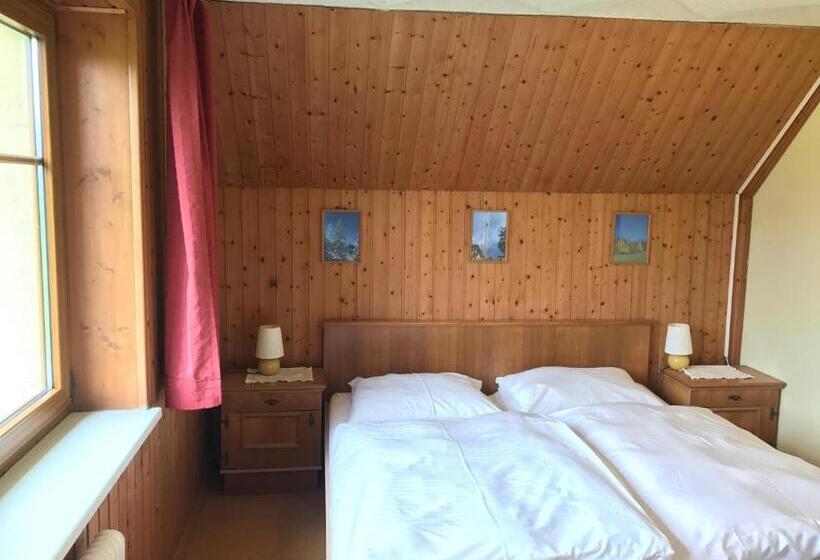 شقة غرفة واحدة, Austrian Alps Haus Kienreich