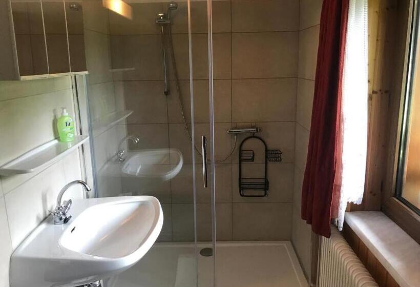 شقة غرفة واحدة, Austrian Alps Haus Kienreich