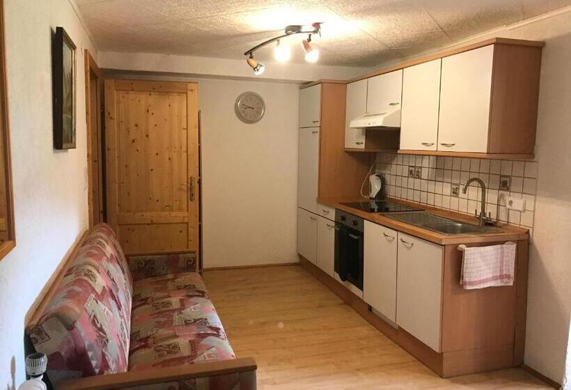 شقة غرفة واحدة, Austrian Alps Haus Kienreich