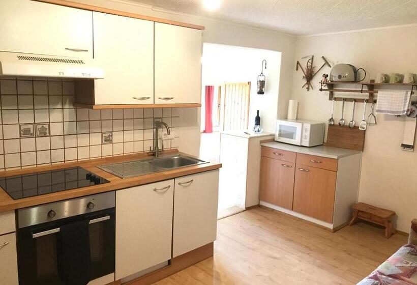 شقة غرفة واحدة, Austrian Alps Haus Kienreich