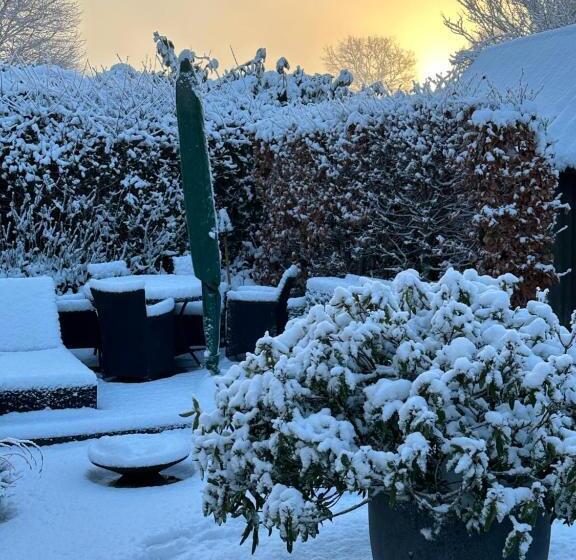 带共用浴室的标准房间, Helts B&b Helts Guesthouse