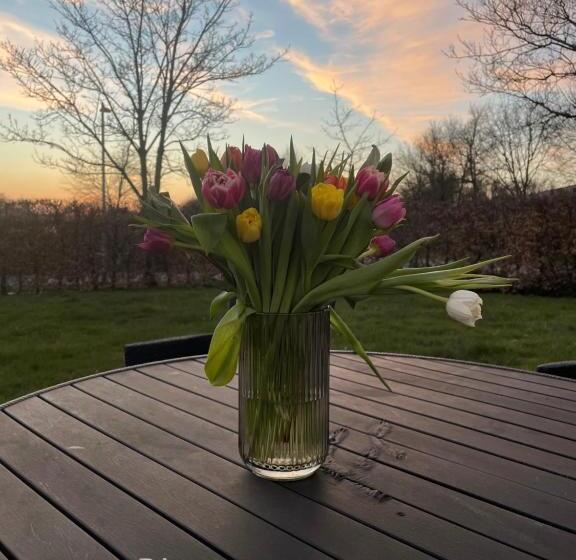 带共用浴室的标准房间, Helts B&b Helts Guesthouse