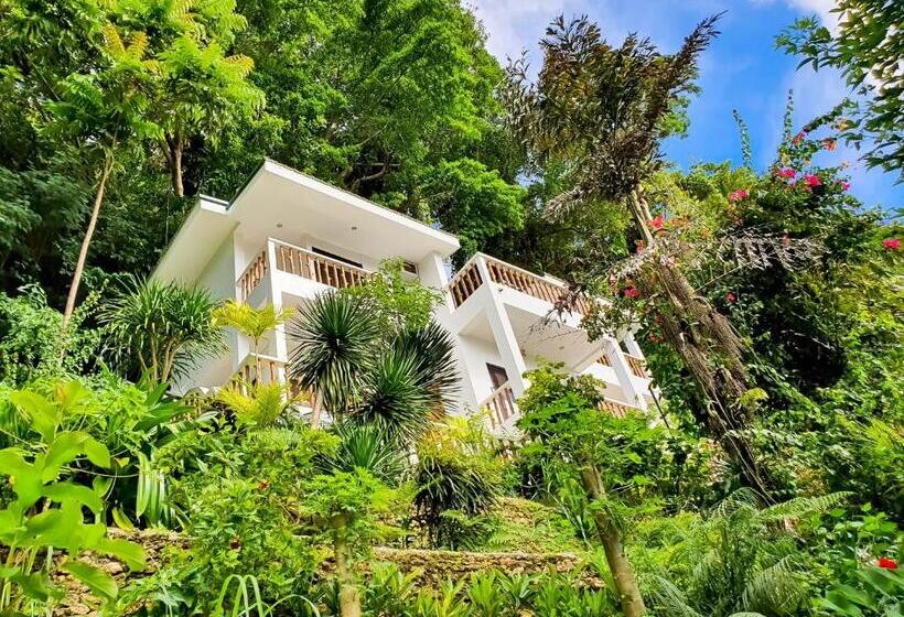 수피리어 전망 룸, Cocoloco Beach Resort